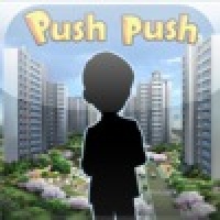 Push Push Puzzle