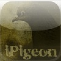 iPigeon