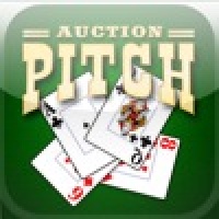 Auction Pitch