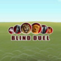 Blind Duel