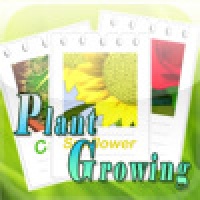 Plant Growing - sweet 3D flowers