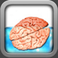 Brain Race