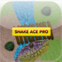 Snake Ace Pro