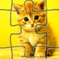 Kitty Puzzle