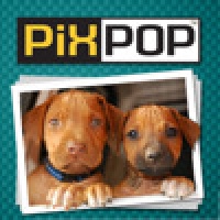 PixPop Dogs