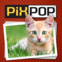 PixPop Cats