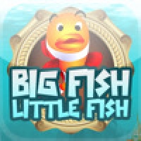 Big Fish Little Fish