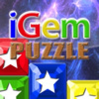 iGem Puzzle