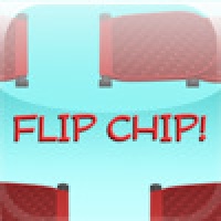 Flip Chip