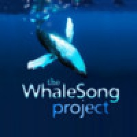 the WhaleSong project