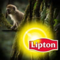 Lipton: Jigsaw