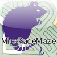 MicePaceMaze Squares