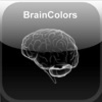 BrainColors