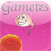 Gametes