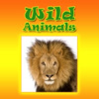 Wild Animals