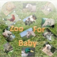 Zoo for Baby