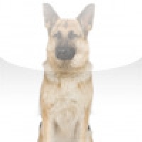 SlidePuzzle - German Shepherd