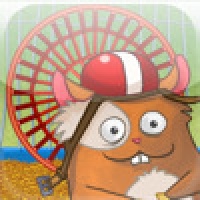 Hamster Spin Challenge