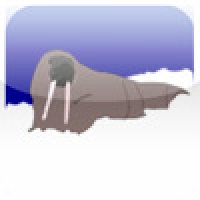 Walrus Fun Game