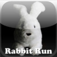 Rabbit Run