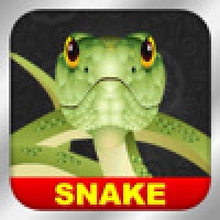 Snake Pro