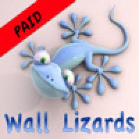 Wall Lizards