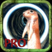 Down the Gopher Hole Pro HD