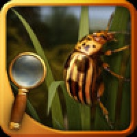 Treasure Island - The Gold Bug
