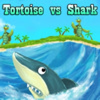 Tortoise vs Shark