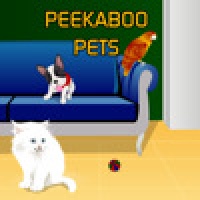 Peekaboo Pets!