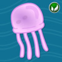 Jellyfish Jam