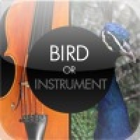 Bird or Instrument