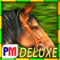 Gallop for Gold Slots Deluxe