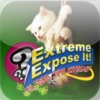 Extreme Expose It! Oh Sooo Cute Kittens!