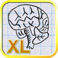 Brain App XL