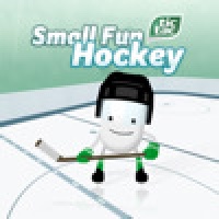 Small Fun Hockey