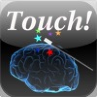 Touch Brain