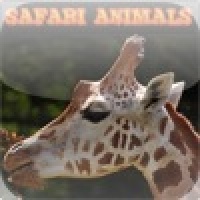 Find Safari Animals