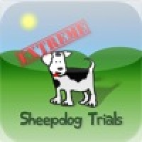 Extreme Sheepdog Trials