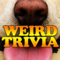 Stephen's Weird Trivia