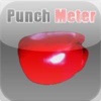 PunchMeter