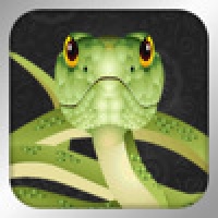 ClassicSnake for ipad