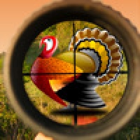 Turkey Hunt HD Premium