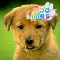 Zoo LINES 2