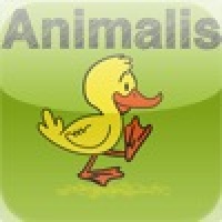 Animalis