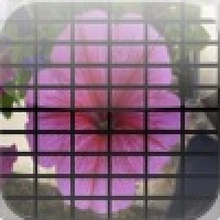 Flowerpuzzle-60 parts