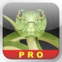 ClassicSnake Pro