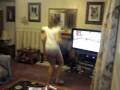 My Fitness Coach (Wii)