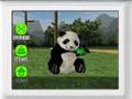 National Geographic Panda (DS)