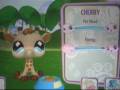 Littlest Pet Shop (Wii)